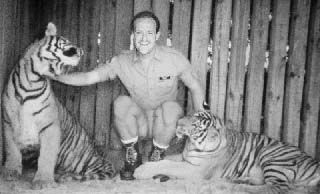 tiger